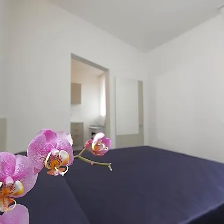 Citta Ideale 3* Il Palazzone